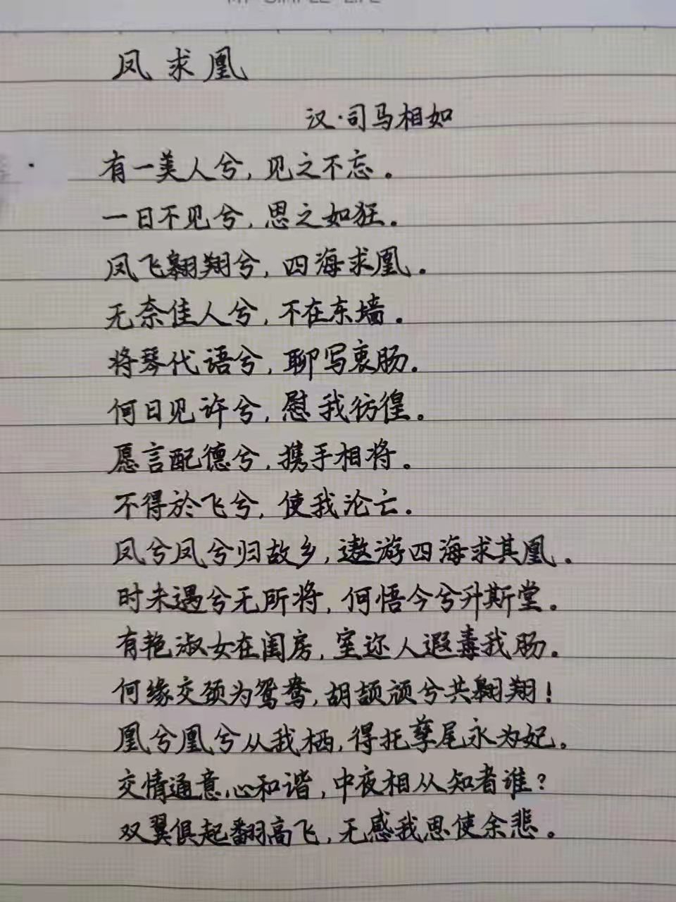 29323